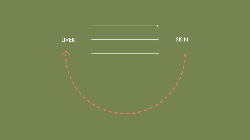 Why Does ‘Feel Good Skin’ Contain Liver Herbs? The Liver-Skin Connection