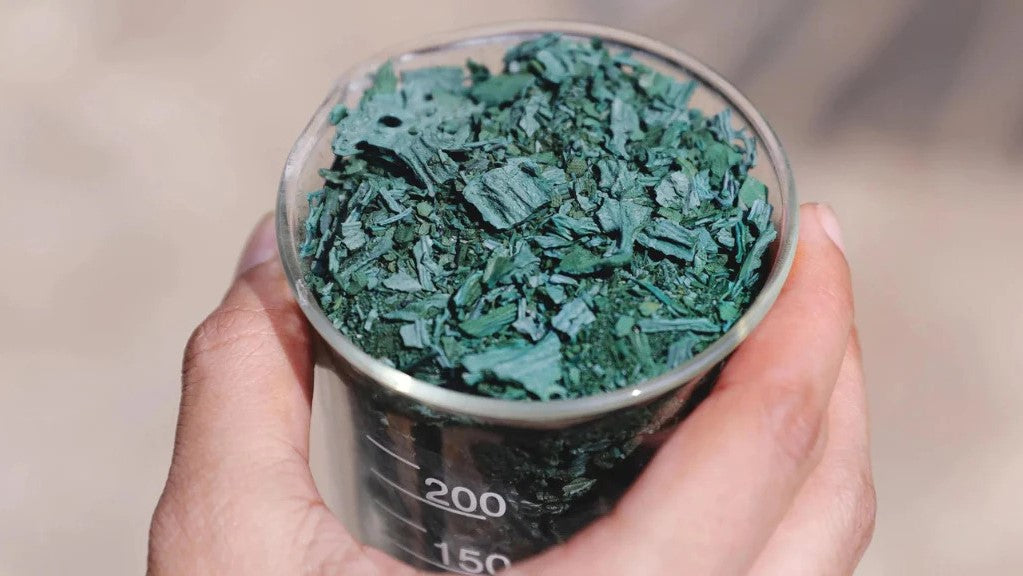 Behind The Scenes of How Spirulina Is Extracted Cosmix