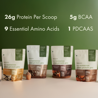 No-Nonsense Plant Protein - Indonesian Cacao Pro