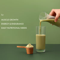 No-Nonsense Plant Protein - Japanese Ceremonial Matcha