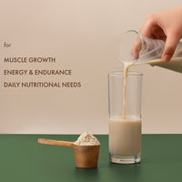 No-Nonsense Plant Protein - Kerala Vanilla Bean