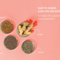 No-Nonsense Plant Protein - Chilli Guava