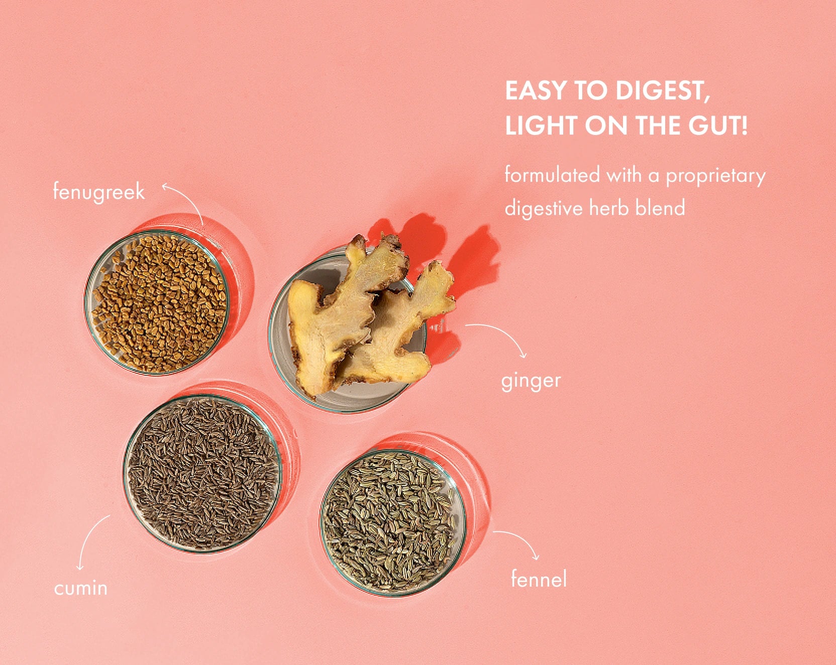 No-Nonsense Plant Protein - Chilli Guava