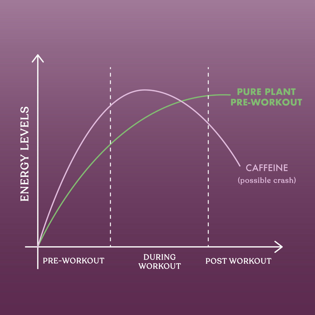 Pure Plant Pre-Workout