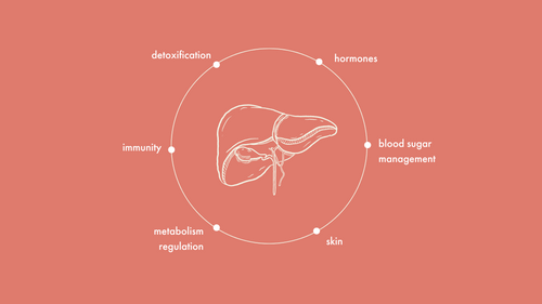 The Liver: The Most Underrated Organ of Our Body