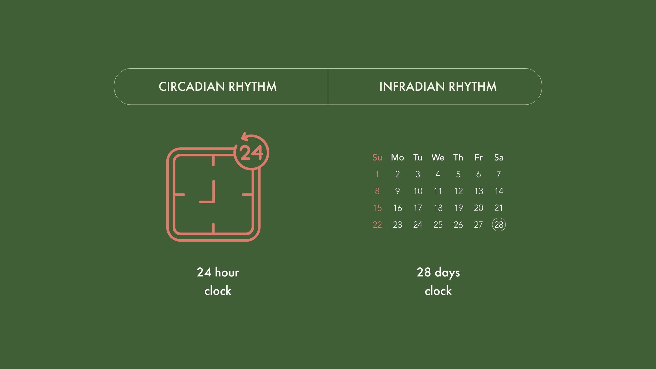 The Infradian Rhythm is womens' second body clock that works according to the menstrual cycle, which is the 28 day cycle.