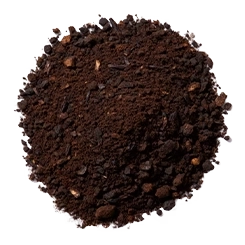 Kerala vanilla bean powder