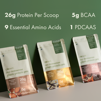 No-Nonsense Plant Protein - Chikmagalur Mocha Pro