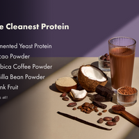 No-Nonsense Fermented Yeast Protein Assorted Sachets x 4