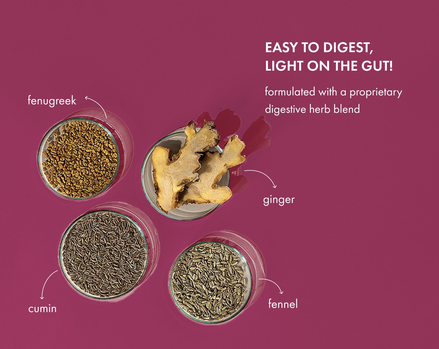 No-Nonsense Plant Protein - Mahabaleshwar Strawberry Pro