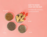 No-Nonsense Plant Protein - Chilli Guava