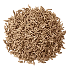 Cumin