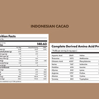 No-Nonsense Plant Protein - Indonesian Cacao