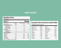 No-Nonsense Plant Protein - Mint Cacao