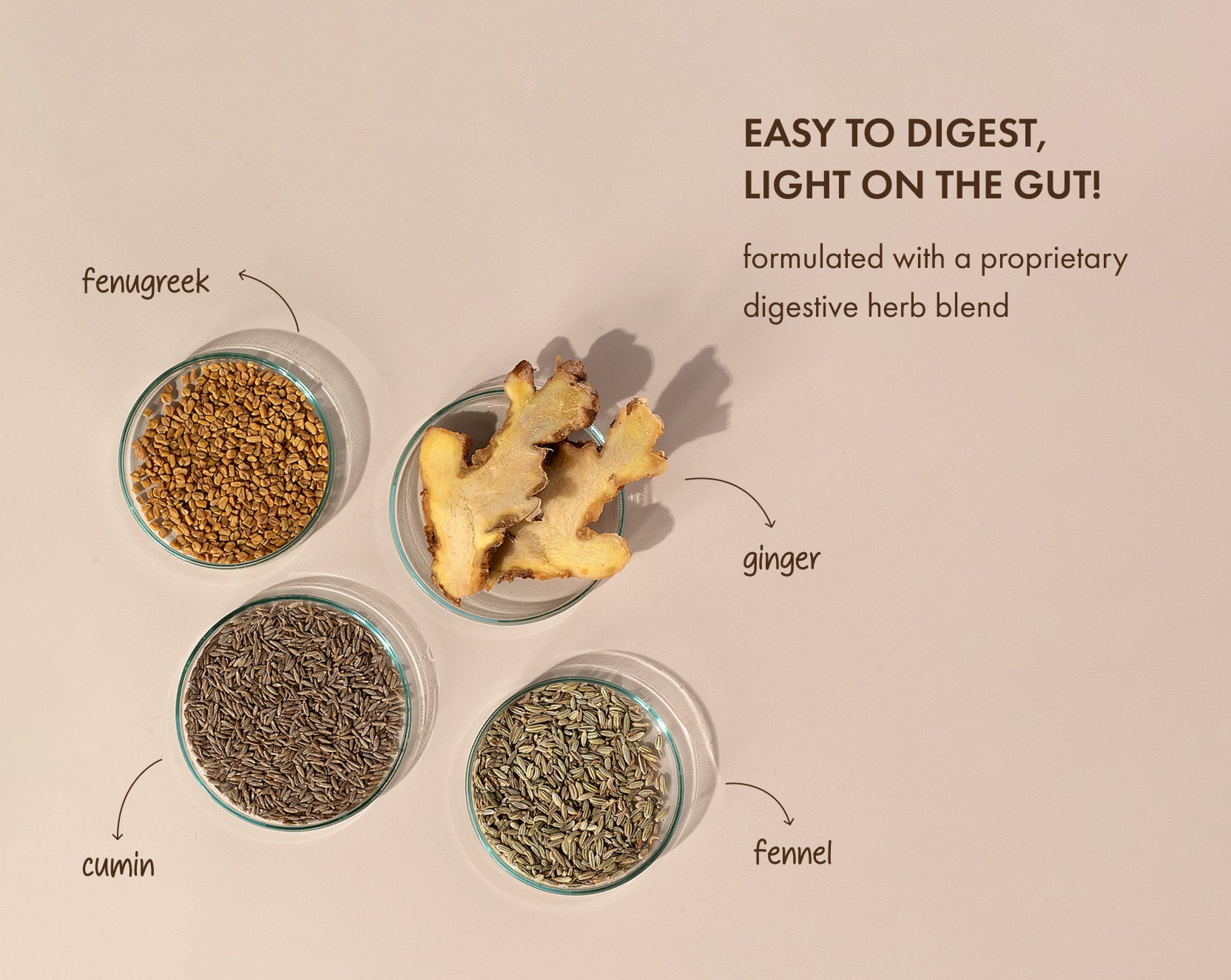 No-Nonsense Plant Protein - Chikmagalur Mocha
