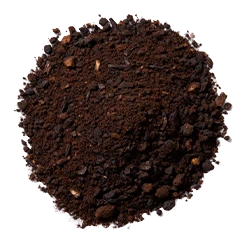 Kerala vanilla bean powder