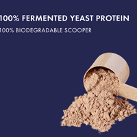 No-Nonsense Fermented Yeast Protein Malnad Arabica Coffee