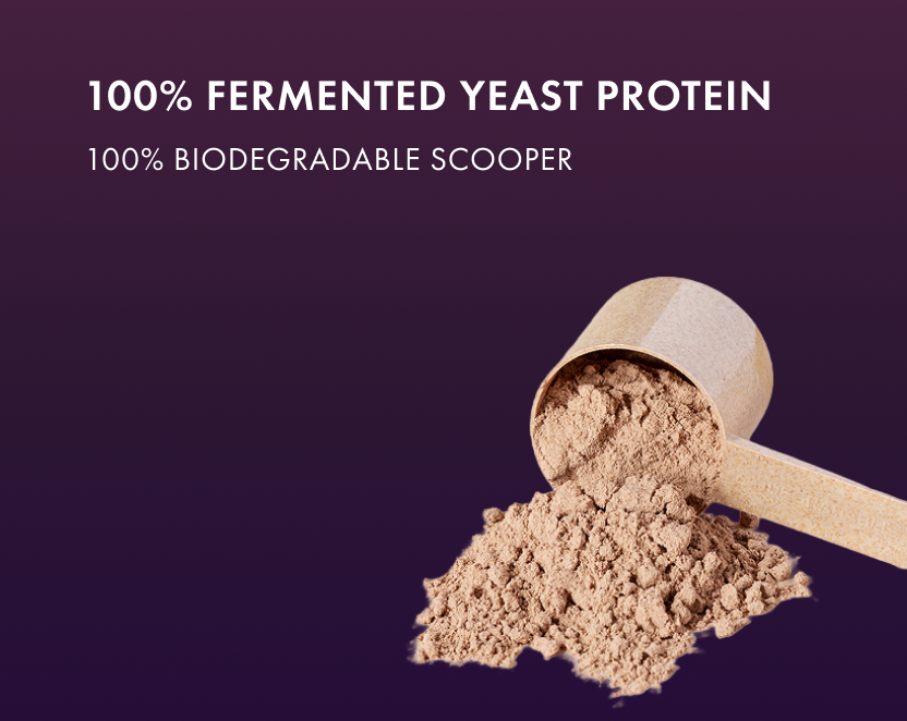 No-Nonsense Fermented Yeast Protein Peanut Butter Fudge