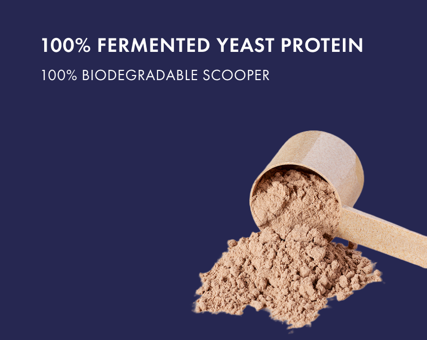 No-Nonsense Fermented Yeast Protein Classic Unflavoured