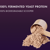 No-Nonsense Fermented Yeast Protein Ratnagiri Mango