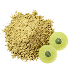 Vitamin C (from Amla Extract)