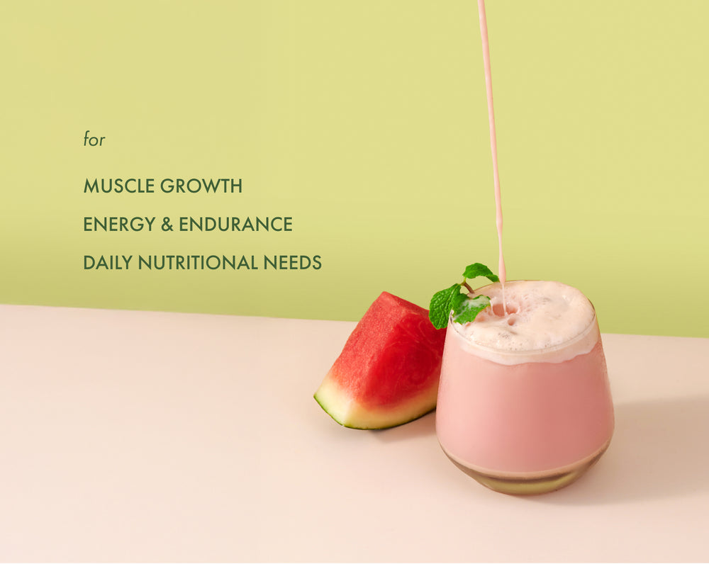 No-Nonsense Plant Protein - Watermelon Bubblegum