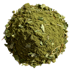 Brahmi