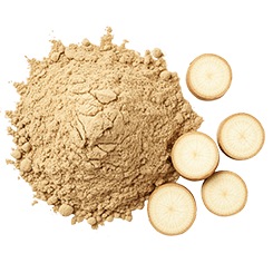 Burdock root