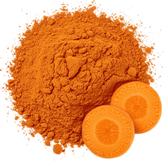 Carrot powder