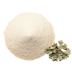 Vitamin D3 (Cholecalciferol Veg source (Lichen))