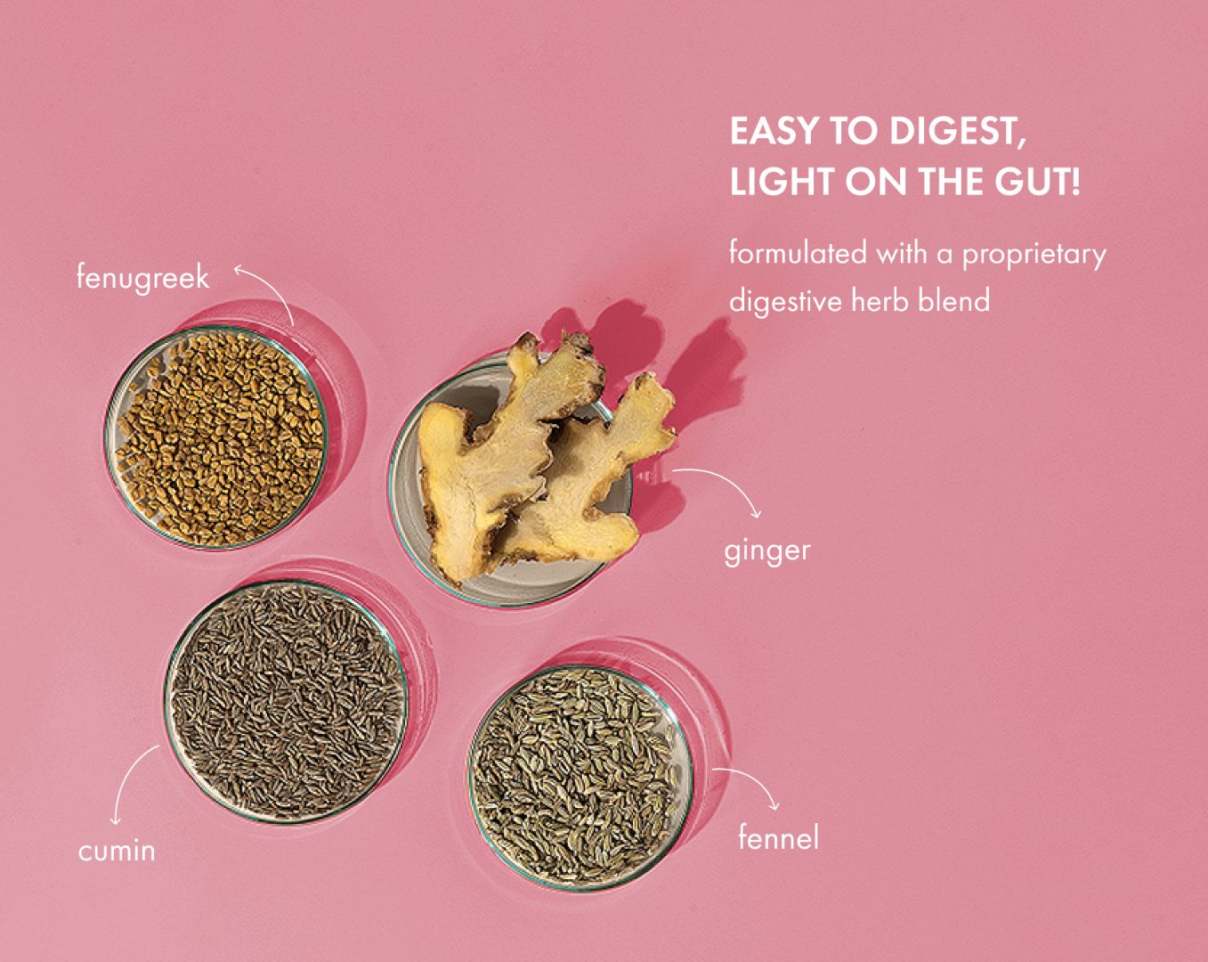 No-Nonsense Plant Protein - Mahabaleshwar Strawberry