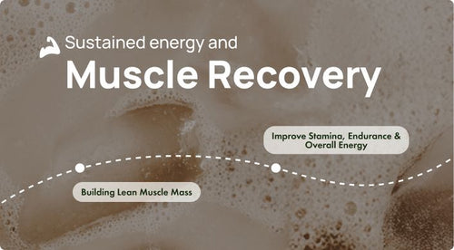 Muscle Recovery