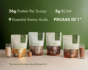 No-Nonsense Plant Protein Pro - Indonesian Cacao