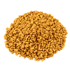 Fenugreek