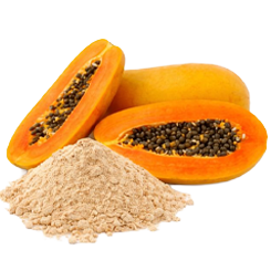 Fermented papaya