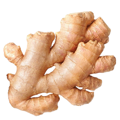 Ginger