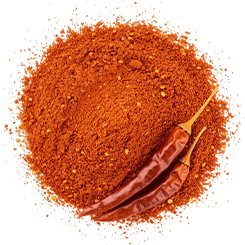 Guntur chilli powder
