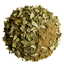 Horny goat weed