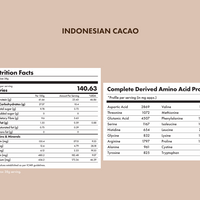 No-Nonsense Plant Protein - Indonesian Cacao