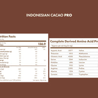 No-Nonsense Plant Protein - Indonesian Cacao Pro