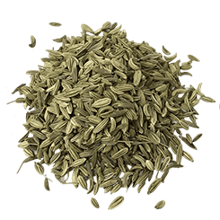 Fennel