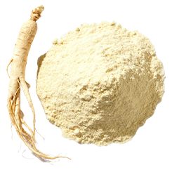 Korean ginseng
