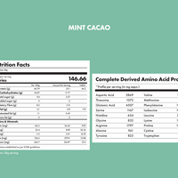 No-Nonsense Plant Protein - Mint Cacao