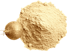 Maca root