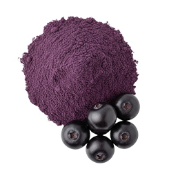 Maqui berry