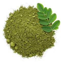 Moringa powder