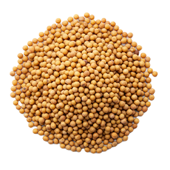 Selenium (from Mustard Seeds)