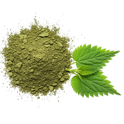 Nettle leaf