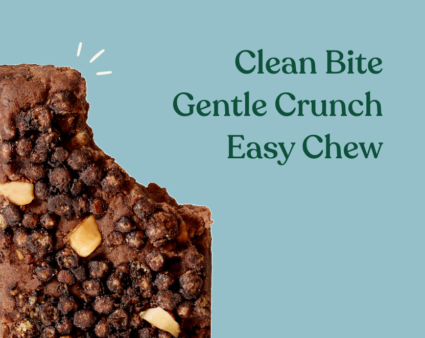 Choco Peanut Protein Bar | Clean, Plant Based & Gut Friendly Snack