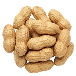 Peanuts